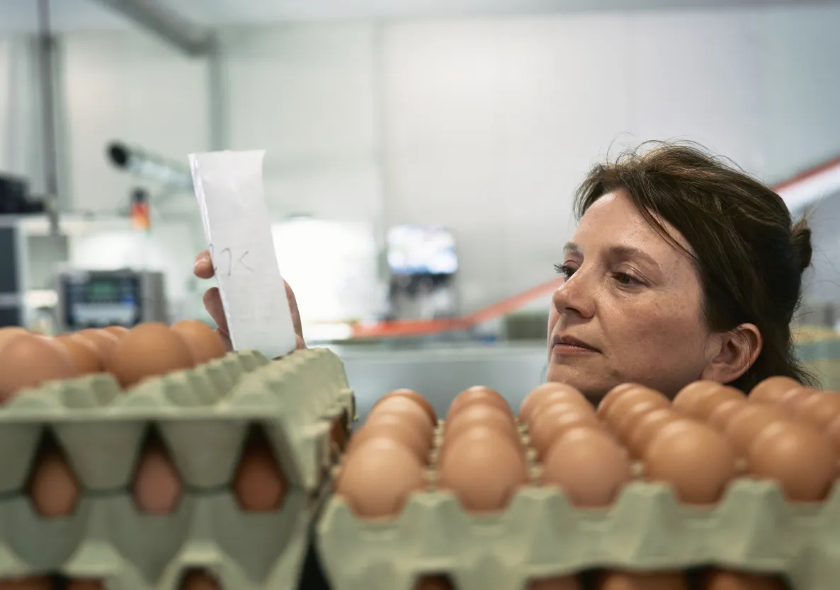 Sonja Holzmann kontrolliert die Eier in den Kartons