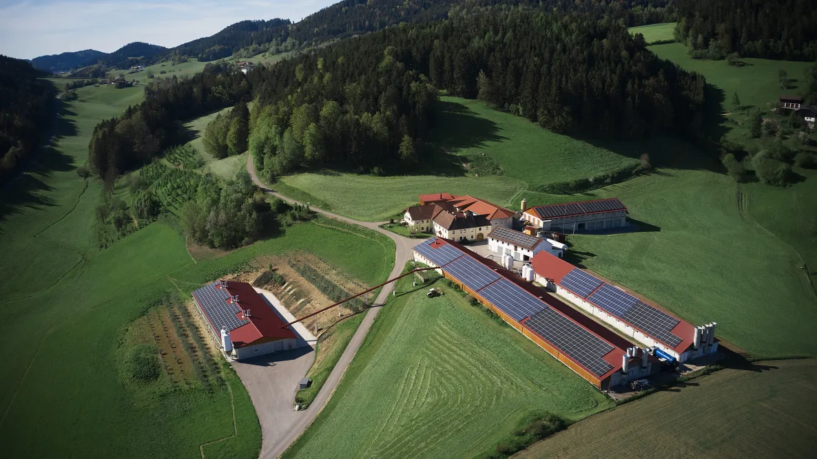 Luftaufnahme von Sonja Holzmanns Betrieb