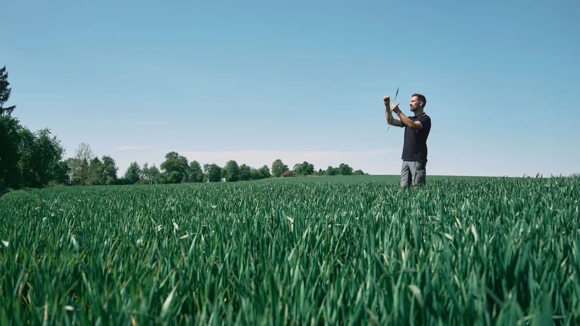 Bernhard Winkler bei der Qualitätskontrolle im Feld