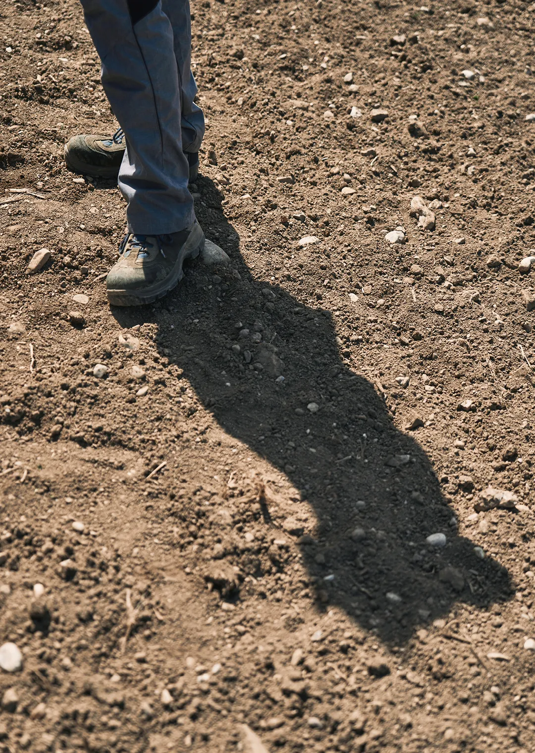 Nahaufnahme von Beinen und Schatten auf einem Acker