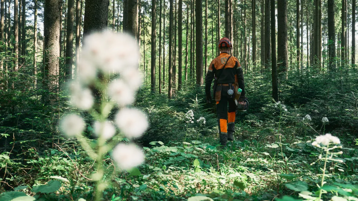 Stefan Achathaler, Forstwirt, geht durch den Wald