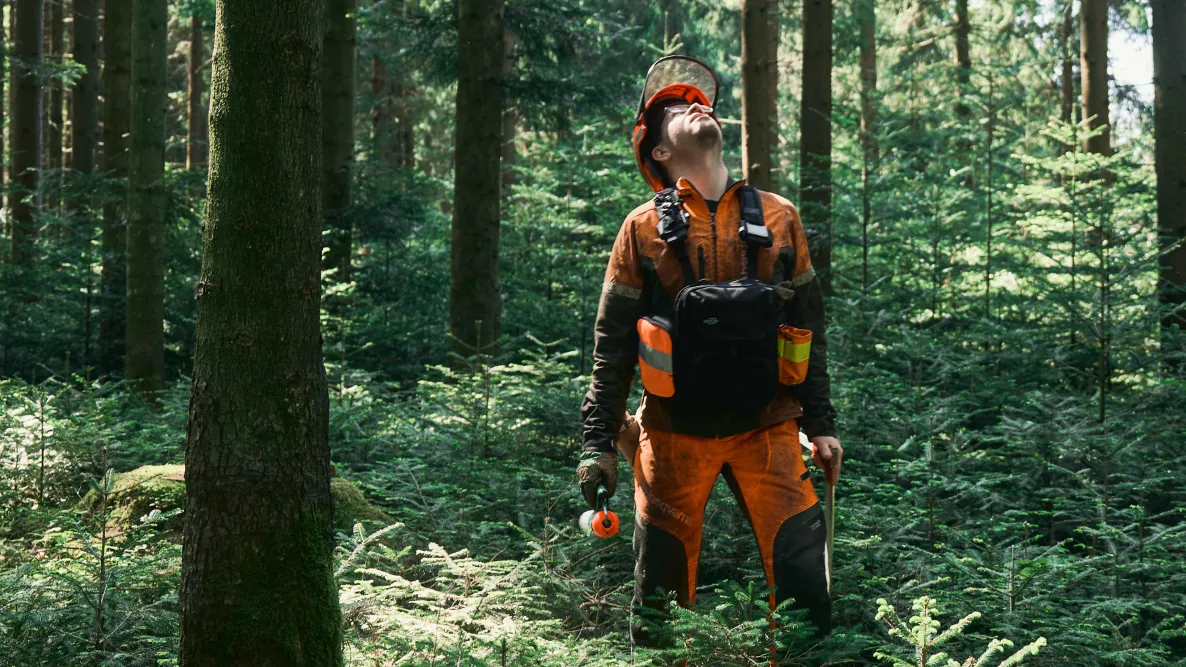 Forstwirt Stefan Achathaler im Wald